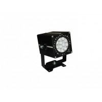 DS-LFL-025-1x12 2.1.I.IP67 (740.G45.1.0)