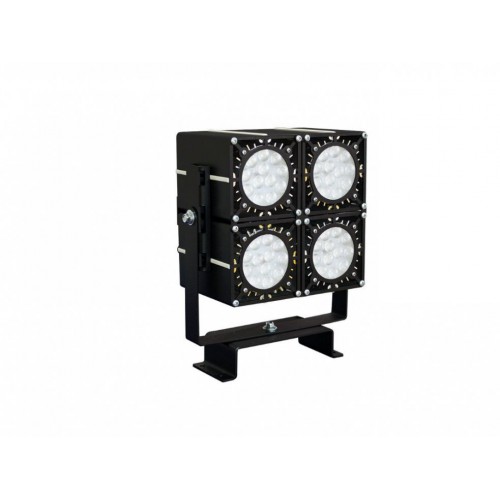 DS-LFL-100-4x12 2.1.I.IP67 (740.G45.2.0)