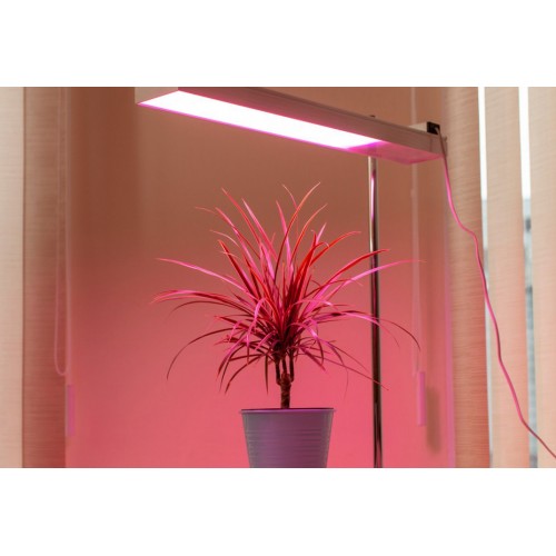 PLANTALUX-50 HOME