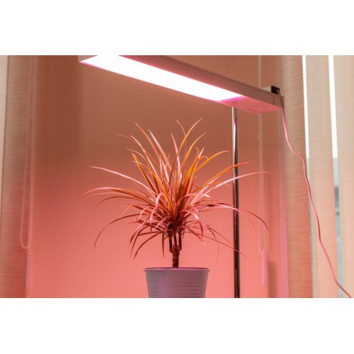 PLANTALUX-50 HOME