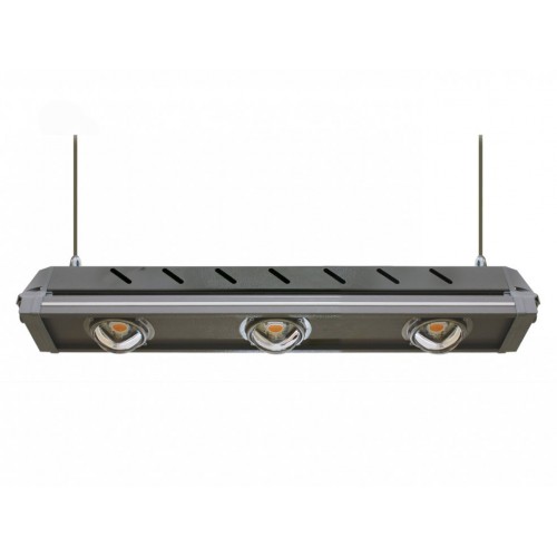 PLANTALUX-HP-150-D021-SC