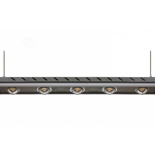 PLANTALUX-HP-250-D018-SC