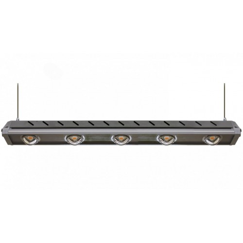 PLANTALUX-HP-250-D021-SC