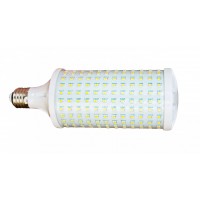 Rollamp-35