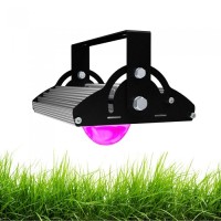 Светильники для создания атмосферы джунглей