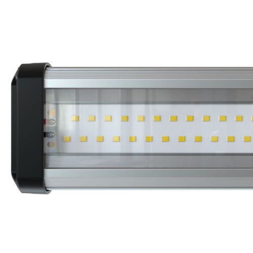 Альфард-Slim-43-900-Зенит-740-П