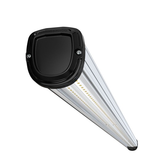 Альфард-Вердикт-56-1500-3Y-750-П