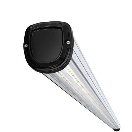 Альфард-Вердикт-76-2000-750-П