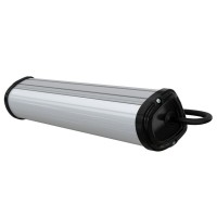 Альфард-Вердикт-10-300-3Y-12-24V-AC-DC-740-О